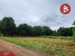 ขายที่ดินแปลงสวย โครงการผาตะวัน เขาใหญ่ (Phatawan at Khaoyai)-202510151646011760521561110.jpg