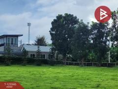 ขายที่ดินแปลงสวย โครงการผาตะวัน เขาใหญ่ (Phatawan at Khaoyai)-202510151646011760521561600.jpg