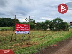 ขายที่ดินแปลงสวย โครงการผาตะวัน เขาใหญ่ (Phatawan at Khaoyai)-202510151646021760521562114.jpg