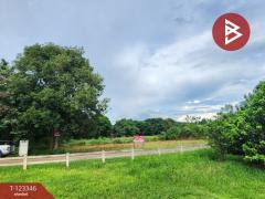 ขายที่ดินแปลงสวย โครงการผาตะวัน เขาใหญ่ (Phatawan at Khaoyai)-202510151646031760521563088.jpg