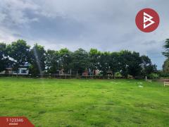 ขายที่ดินแปลงสวย โครงการผาตะวัน เขาใหญ่ (Phatawan at Khaoyai)-202510151646031760521563560.jpg