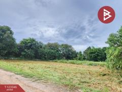 ขายที่ดินแปลงสวย โครงการผาตะวัน เขาใหญ่ (Phatawan at Khaoyai)-202510151646041760521564030.jpg