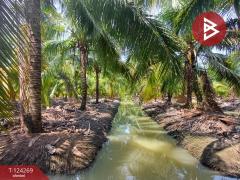 ขายที่ดิน เนื้อที่ 20 ไร่ 1 งาน 18.6 ตร.วา โพธาราม ราชบุรี-202510151713401760523220325.jpg