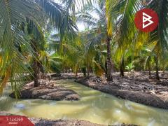 ขายที่ดิน เนื้อที่ 20 ไร่ 1 งาน 18.6 ตร.วา โพธาราม ราชบุรี-202510151713411760523221314.jpg