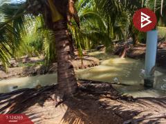 ขายที่ดิน เนื้อที่ 20 ไร่ 1 งาน 18.6 ตร.วา โพธาราม ราชบุรี-202510151713431760523223993.jpg