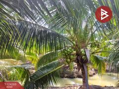 ขายที่ดิน เนื้อที่ 20 ไร่ 1 งาน 18.6 ตร.วา โพธาราม ราชบุรี-202510151713441760523224524.jpg