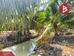 ขายที่ดิน เนื้อที่ 20 ไร่ 1 งาน 18.6 ตร.วา โพธาราม ราชบุรี-202510151713451760523225278.jpg