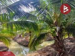 ขายที่ดิน เนื้อที่ 20 ไร่ 1 งาน 18.6 ตร.วา โพธาราม ราชบุรี-202510151713451760523225820.jpg