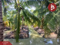 ขายที่ดิน เนื้อที่ 20 ไร่ 1 งาน 18.6 ตร.วา โพธาราม ราชบุรี-202510151713461760523226371.jpg