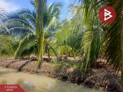 ขายที่ดิน เนื้อที่ 20 ไร่ 1 งาน 18.6 ตร.วา โพธาราม ราชบุรี-202510151713461760523226922.jpg