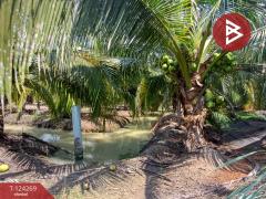 ขายที่ดิน เนื้อที่ 20 ไร่ 1 งาน 18.6 ตร.วา โพธาราม ราชบุรี-202510151713481760523228192.jpg