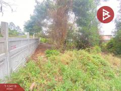 ขายที่ดินเปล่า เนื้อที่ 1 งาน 14.1 ตร.วา เหนือเมือง ร้อยเอ็ด-202510151722011760523721570.jpg