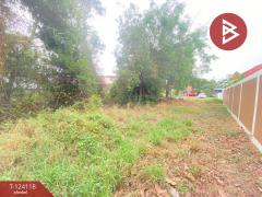 ขายที่ดินเปล่า เนื้อที่ 1 งาน 14.1 ตร.วา เหนือเมือง ร้อยเอ็ด-202510151722021760523722506.jpg