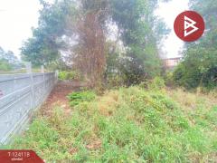 ขายที่ดินเปล่า เนื้อที่ 1 งาน 14.1 ตร.วา เหนือเมือง ร้อยเอ็ด-202510151722041760523724428.jpg