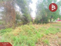 ขายที่ดินเปล่า เนื้อที่ 1 งาน 14.1 ตร.วา เหนือเมือง ร้อยเอ็ด-202510151722051760523725702.jpg