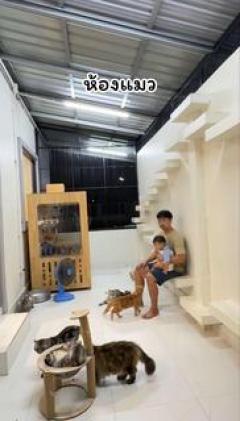 บ้านพร้อมที่ดิน 2ไร่1งาน (เจ้าของขายเอง)-202510152104371760537077735.jpg