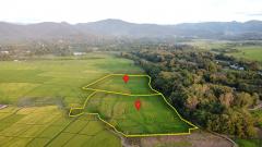 ขายที่นา 7-2-70 ไร่ และ 8-3-40 ไร่ ติดถนนและลำเหมืองสาธารณะ แยกขายได้