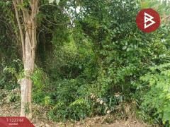 ขายที่ดิน เนื้อที่ 1 งาน 78 ตร.วา บางกะจะ จันทบุรี-202510160430121760563812584.jpg