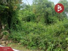 ขายที่ดิน เนื้อที่ 1 งาน 78 ตร.วา บางกะจะ จันทบุรี-202510160430131760563813137.jpg