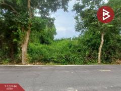 ขายที่ดิน เนื้อที่ 1 งาน 78 ตร.วา บางกะจะ จันทบุรี-202510160430141760563814191.jpg