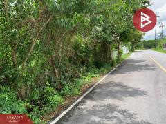 ขายที่ดิน เนื้อที่ 1 งาน 78 ตร.วา บางกะจะ จันทบุรี-202510160430151760563815239.jpg