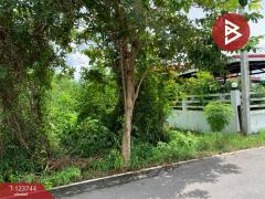 ขายที่ดิน เนื้อที่ 1 งาน 78 ตร.วา บางกะจะ จันทบุรี-202510160430151760563815763.jpg