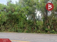 ขายที่ดิน เนื้อที่ 1 งาน 78 ตร.วา บางกะจะ จันทบุรี-202510160430181760563818396.jpg