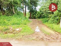 ขายที่ดิน เนื้อที่ 3 ไร่ 97.4  ตร.วา บางกะจะ จันทบุรี