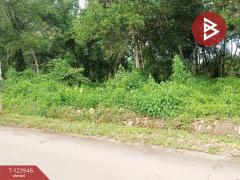 ขายที่ดิน เนื้อที่ 3 ไร่ 97.4  ตร.วา บางกะจะ จันทบุรี-202510160448011760564881600.jpg