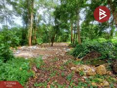 ขายที่ดิน เนื้อที่ 3 ไร่ 97.4  ตร.วา บางกะจะ จันทบุรี-202510160448021760564882194.jpg