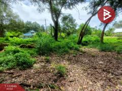 ขายที่ดิน เนื้อที่ 3 ไร่ 97.4  ตร.วา บางกะจะ จันทบุรี-202510160448021760564882754.jpg