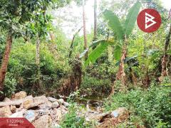 ขายที่ดิน เนื้อที่ 3 ไร่ 97.4  ตร.วา บางกะจะ จันทบุรี-202510160448031760564883309.jpg