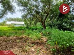 ขายที่ดิน เนื้อที่ 3 ไร่ 97.4  ตร.วา บางกะจะ จันทบุรี-202510160448031760564883852.jpg