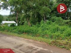 ขายที่ดิน เนื้อที่ 3 ไร่ 97.4  ตร.วา บางกะจะ จันทบุรี-202510160448041760564884928.jpg