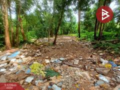 ขายที่ดิน เนื้อที่ 3 ไร่ 97.4  ตร.วา บางกะจะ จันทบุรี-202510160448051760564885492.jpg