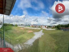 ขายที่ดิน เนื้อที่ 3 ไร่ 1 งาน 14.5 ตร.วา ปลวกแดง ระยอง-202510160550451760568645496.jpg