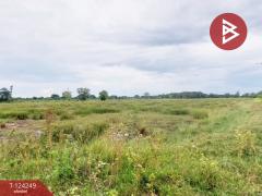 ขายที่ดิน เนื้อที่ 22 ไร่ บางน้ำเปรี้ยว ฉะเชิงเทรา-202510160558261760569106246.jpg