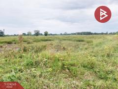 ขายที่ดิน เนื้อที่ 22 ไร่ บางน้ำเปรี้ยว ฉะเชิงเทรา-202510160558261760569106778.jpg