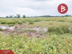 ขายที่ดิน เนื้อที่ 22 ไร่ บางน้ำเปรี้ยว ฉะเชิงเทรา-202510160558271760569107318.jpg