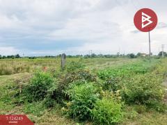 ขายที่ดิน เนื้อที่ 22 ไร่ บางน้ำเปรี้ยว ฉะเชิงเทรา-202510160558281760569108131.jpg