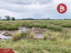 ขายที่ดิน เนื้อที่ 22 ไร่ บางน้ำเปรี้ยว ฉะเชิงเทรา-202510160558281760569108666.jpg