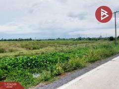 ขายที่ดิน เนื้อที่ 22 ไร่ บางน้ำเปรี้ยว ฉะเชิงเทรา-202510160558291760569109200.jpg