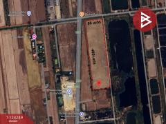 ขายที่ดิน เนื้อที่ 22 ไร่ บางน้ำเปรี้ยว ฉะเชิงเทรา-202510160558301760569110252.jpg