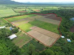 ขายที่ดิน 42 ไร่ วังดง เมืองกาญจนบุรี ติดน้ำ วิวเขา ล้อมรอบด้วยธรรมชาติ-202510160945491760582749974.jpg