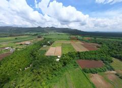 ขายที่ดิน 42 ไร่ วังดง เมืองกาญจนบุรี ติดน้ำ วิวเขา ล้อมรอบด้วยธรรมชาติ-202510160945531760582753167.jpg