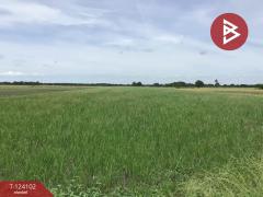 ขายที่ดิน เนื้อที่ 3 ไร่ 2.2 ตารางวา ทับตีเหล็ก สุพรรณบุรี-202510161130131760589013623.jpg