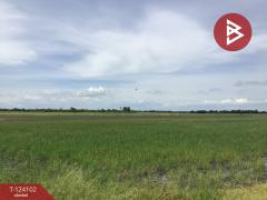 ขายที่ดิน เนื้อที่ 3 ไร่ 2.2 ตารางวา ทับตีเหล็ก สุพรรณบุรี-202510161130141760589014153.jpg