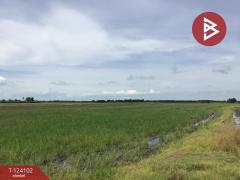 ขายที่ดิน เนื้อที่ 3 ไร่ 2.2 ตารางวา ทับตีเหล็ก สุพรรณบุรี-202510161130141760589014671.jpg