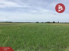 ขายที่ดิน เนื้อที่ 3 ไร่ 2.2 ตารางวา ทับตีเหล็ก สุพรรณบุรี-202510161130151760589015199.jpg