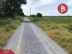 ขายที่ดิน เนื้อที่ 3 ไร่ 2.2 ตารางวา ทับตีเหล็ก สุพรรณบุรี-202510161130151760589015739.jpg